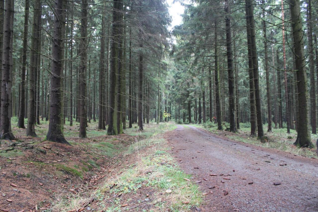 Zumseehoernchen Haus Schmetterling Tanna Kültér fotó