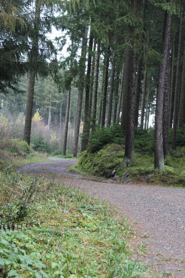 Zumseehoernchen Haus Schmetterling Tanna Kültér fotó