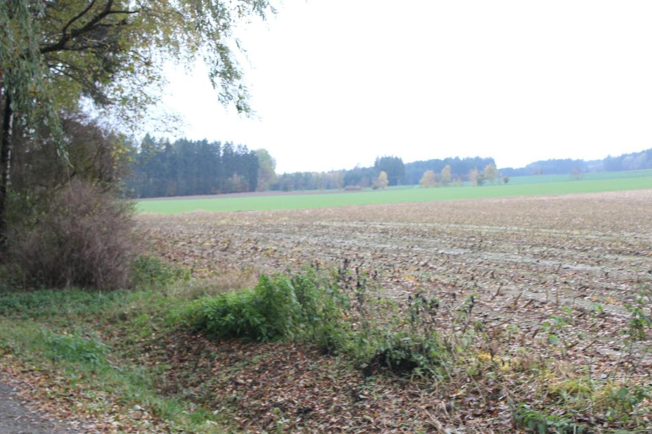 Zumseehoernchen Haus Schmetterling Tanna Kültér fotó