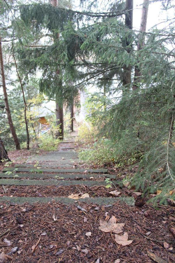 Zumseehoernchen Haus Schmetterling Tanna Kültér fotó