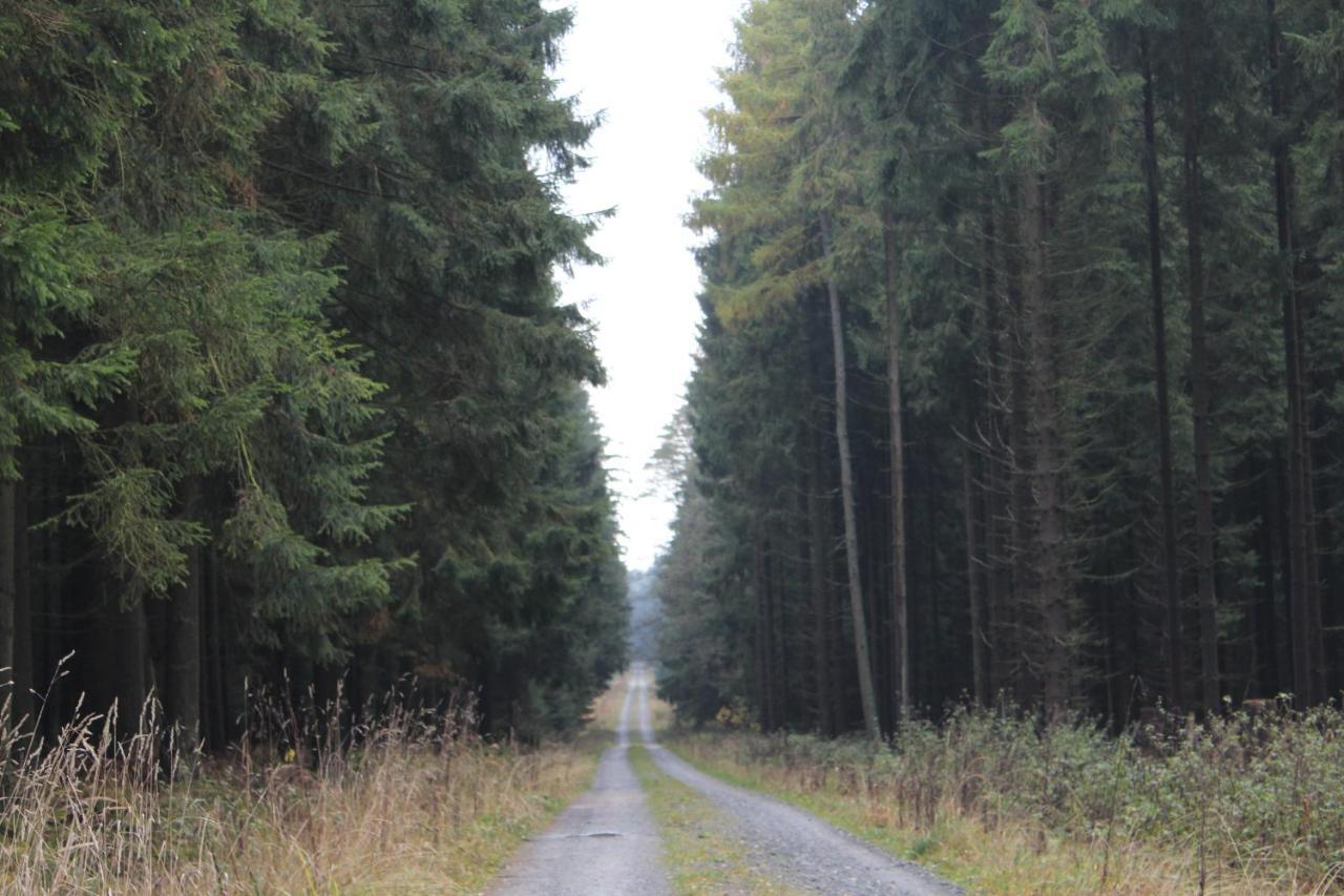 Zumseehoernchen Haus Schmetterling Tanna Kültér fotó