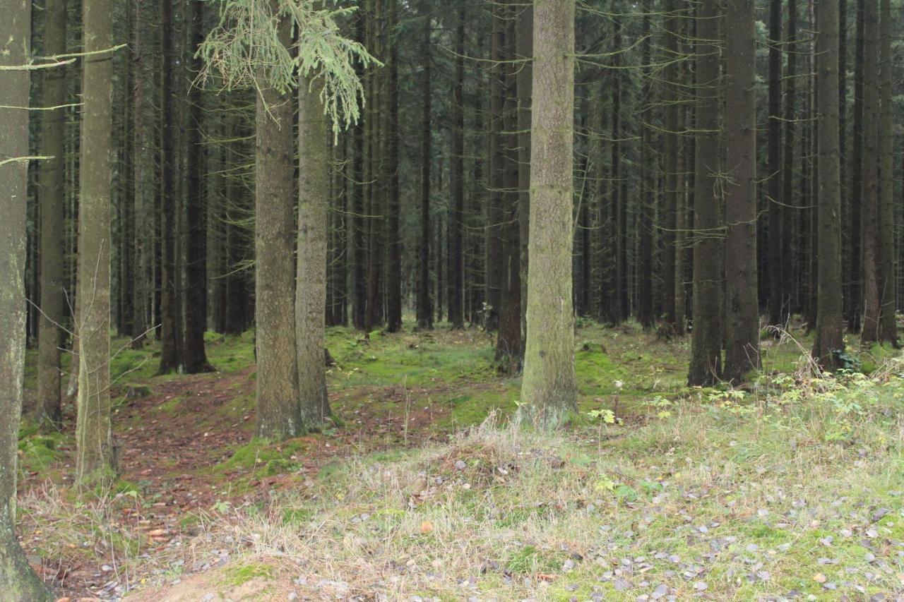 Zumseehoernchen Haus Schmetterling Tanna Kültér fotó
